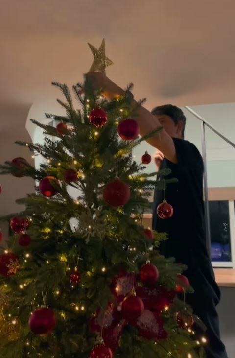 Ρουβάς – Ζυγούλη: Το πανύψηλο χριστουγεννιάτικο δέντρο που στόλισαν με τα 4 παιδιά τους (εικόνες-βίντεο)