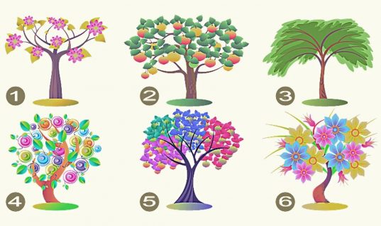 Τεστ προσωπικότητας: Το δέντρο που θα επιλέξετε αποκαλύπτει τα κυρίαρχα χαρακτηριστικά σας
